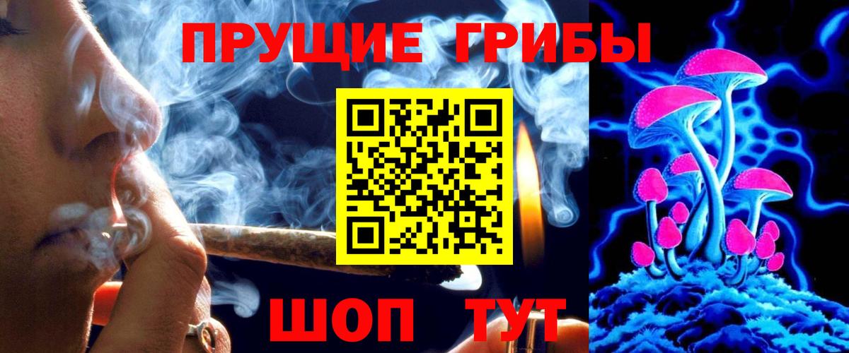 Псилоцибиновые грибы ЛСД  Галлюциногенные грибы GOLDEN TEACHER  Заводоуковск  Вход с VPN 